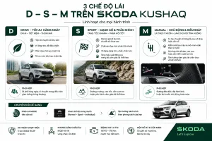 Xe 1.0 TSI có thực sự đủ dùng tại Việt Nam? So sánh Kushaq với Creta, Seltos, Xforce, Yaris Cross và HR-V