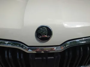 Đánh giá Skoda Kushaq sau hơn 12.000 km: Chất lượng hoàn thiện có thực sự bền bỉ như kỳ vọng?