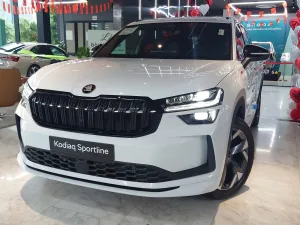 Hệ dẫn động Haldex 4×4 trên Skoda Kodiaq: Phân bổ lực kéo như thế nào và vì sao đặc biệt hữu ích khi đi đèo núi?